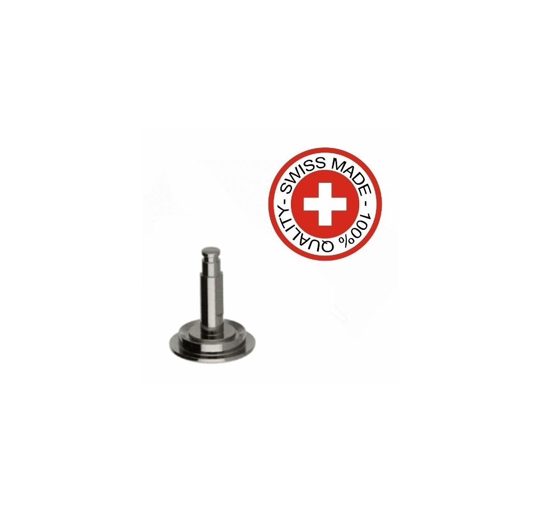 AXLE FOR OSCILLATING WEIGHT (2030 generic part)
