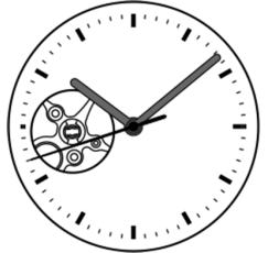 SEIKO (TMI) MOVEMENT NH36
